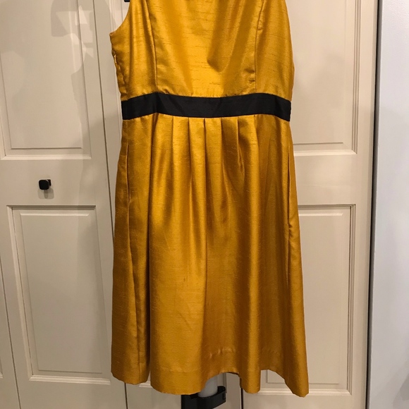 The Limited Party Dress - Picture 3 of 3